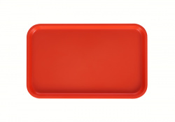 Купить поднос столовый 530х330 мм оранжевый – цена от завода, доставка до двери | RuOborudovanie.ru