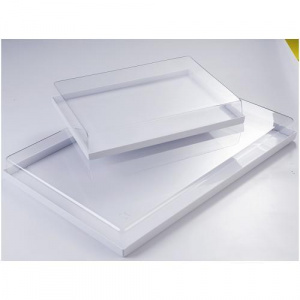 Поднос 59Х39СМ H6См, пластик, с прозрачной крышкой Vc60X40