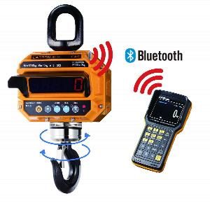 Весы крановые Cas 10 THD TWN (10т/5кг) IP65 электронные